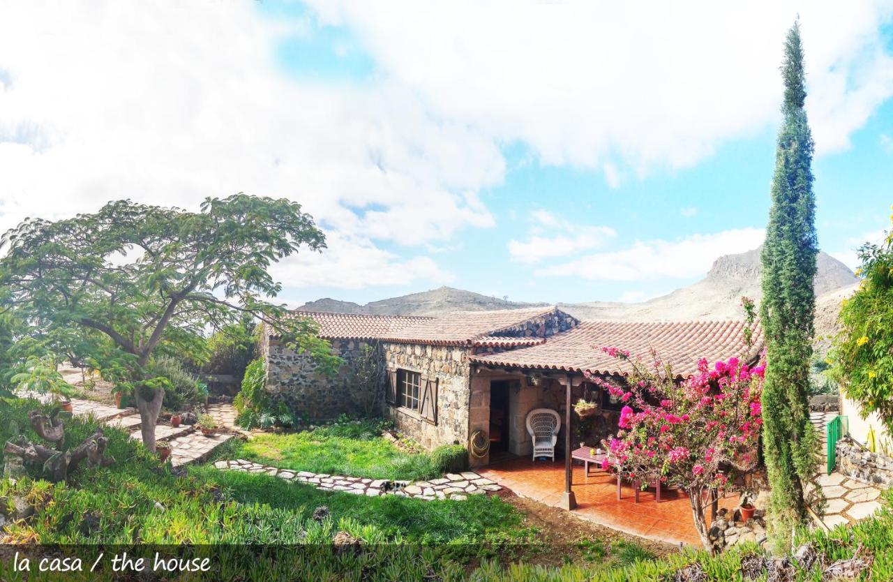 Live Finca San Miguel Σαν Μιγκέλ ντε Αμπόνα Εξωτερικό φωτογραφία